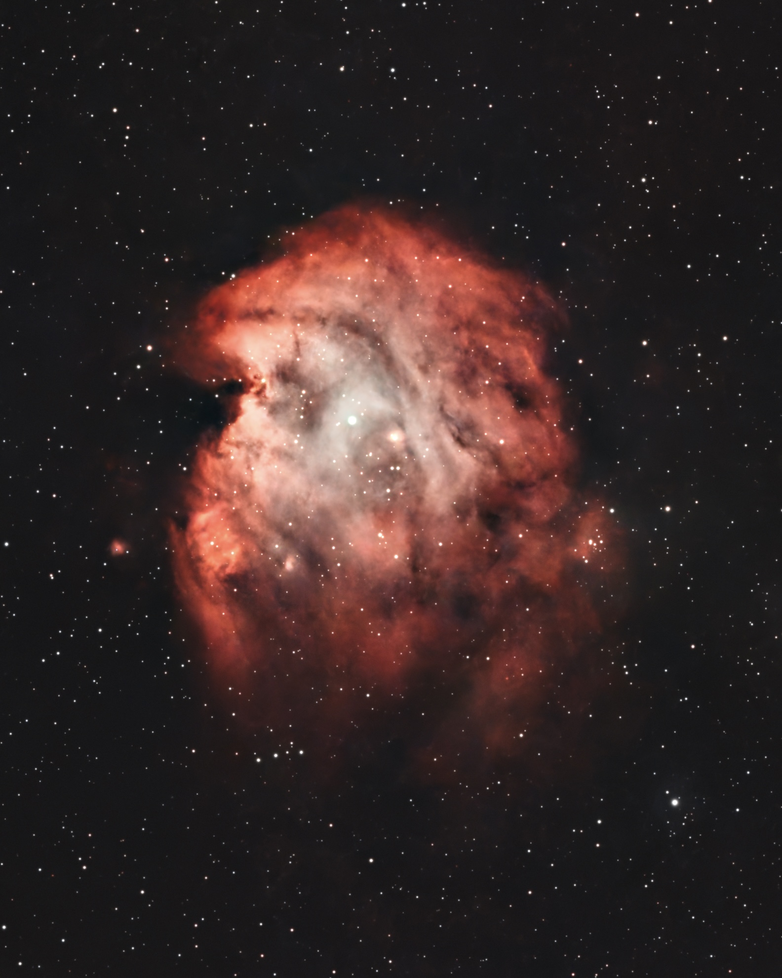 NGC2175 Nebulosa cabeza de mono