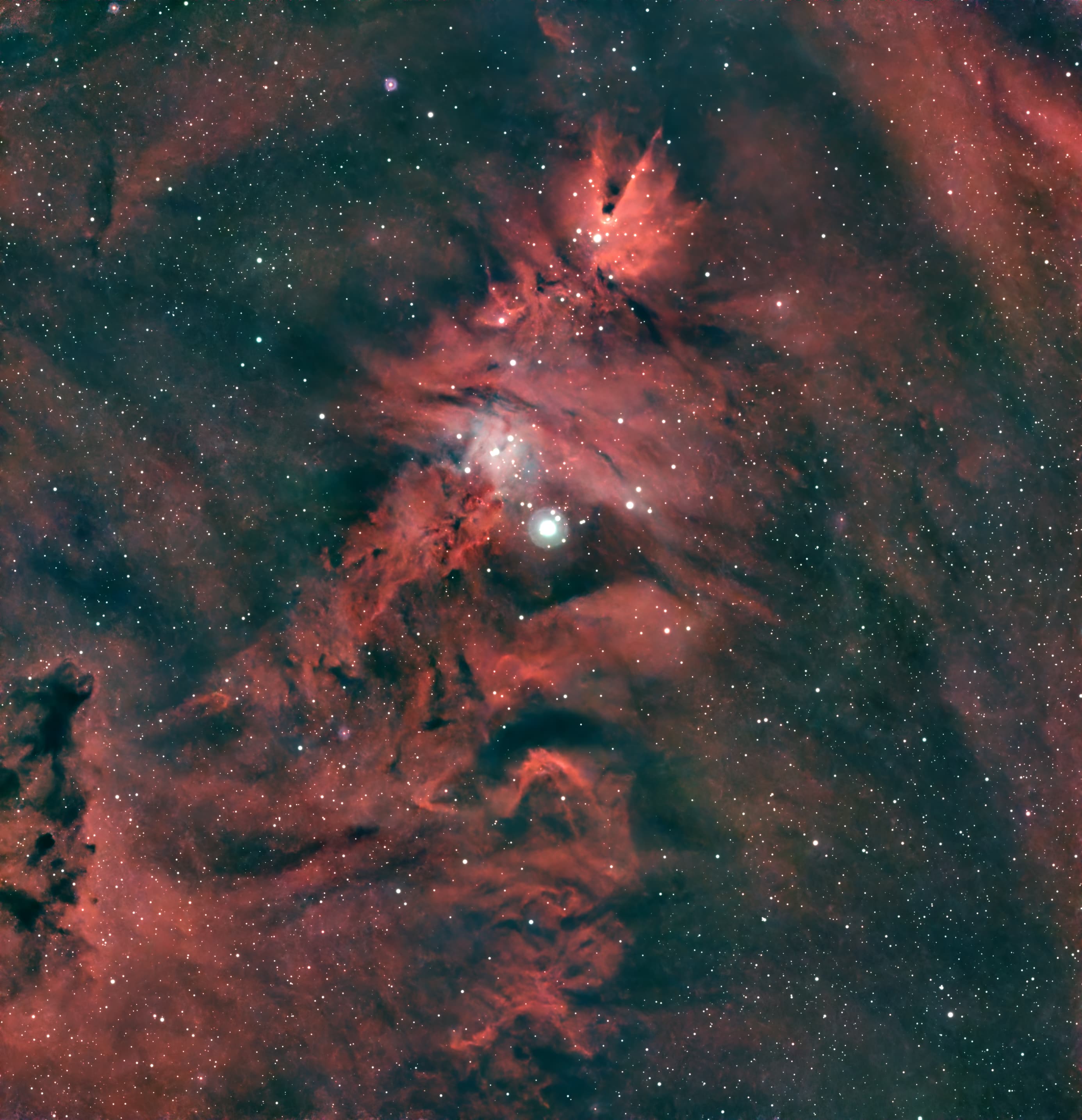 NGC 2264 Árbol de Navidad