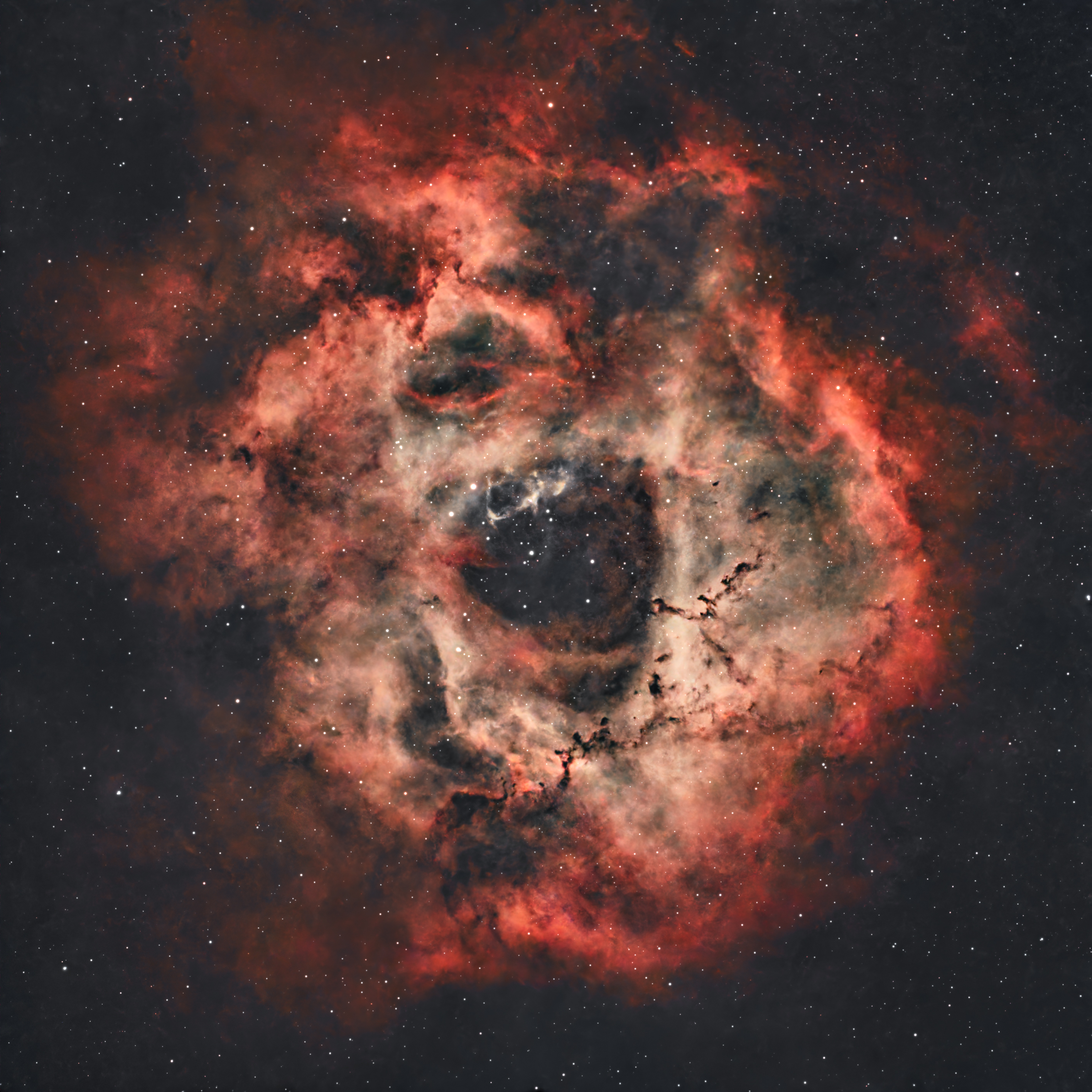 Nebulosa de la Roseta